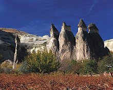 Natural formations called the Fairy Chimneys in Cappadocia